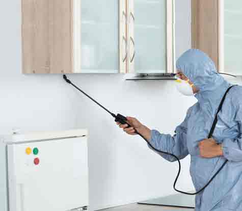 Pest Control Service West Lakes Shore